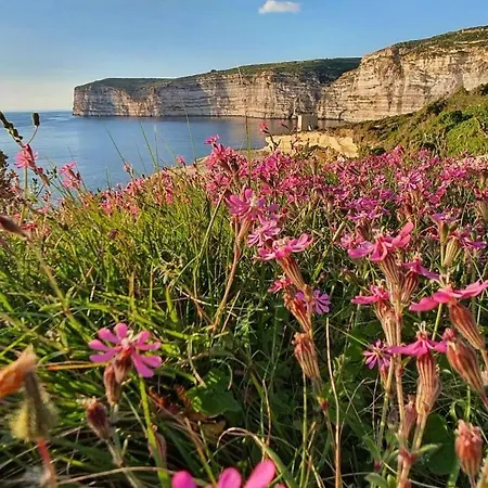 Ad Hoc B&B Il-Pergla