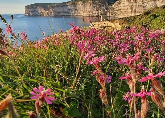 Ad Hoc Bed & Breakfast Il-Pergla